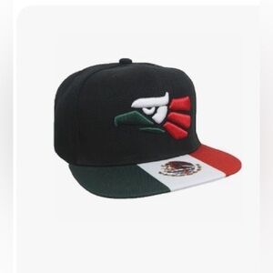 Mexican Eagle Snapback Hat Black Mexico Flag Brim Hecho en Mexico NWT
